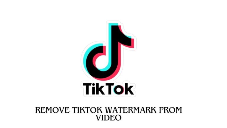 How To Remove TikTok Watermark From Video 2023?